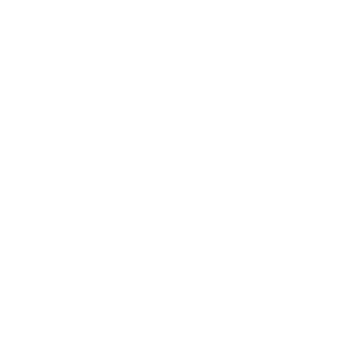 Caveira17's emblem
