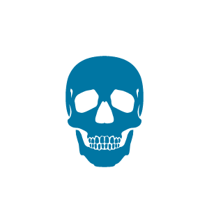 VAmigoRU's emblem