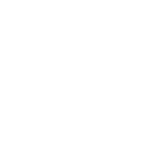 Slyferer's emblem
