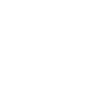 Aynoms's emblem