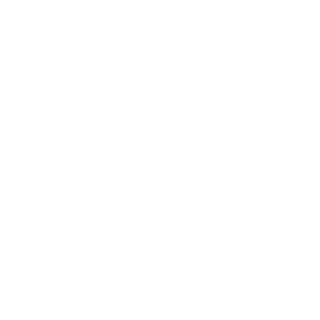 larsking3's emblem
