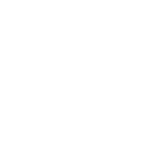 SD-FN-BicudoRJ's emblem
