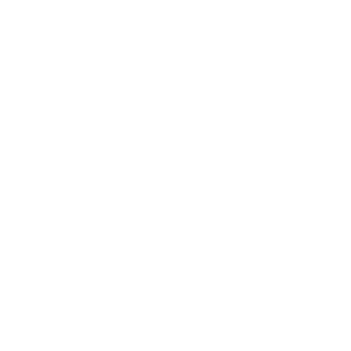 RossyboyT0707's emblem