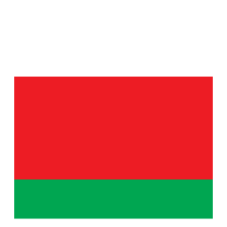 BLRPinsk's emblem