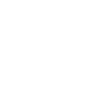 chopobo84's emblem