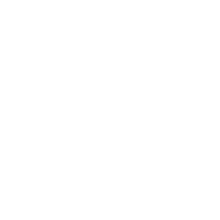 TTV_dirmi's emblem