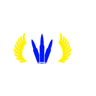 -TW-KarrLEE's emblem