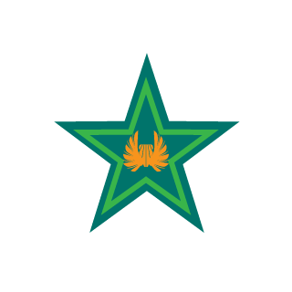 BlackHawkCJ's emblem