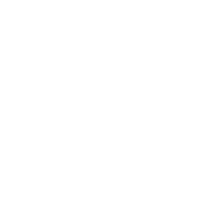 lowerdeck's emblem
