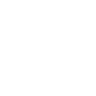 TURSON02's emblem