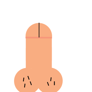 UCME_Rollin's emblem