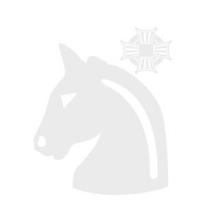 Aike1995's emblem
