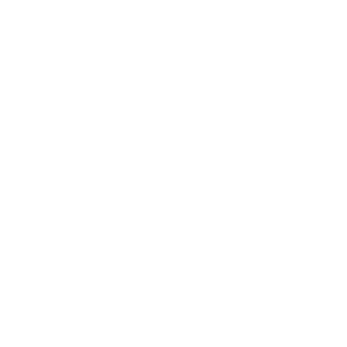 Niblerocket's emblem