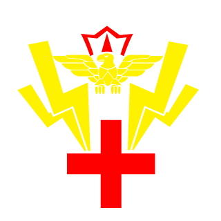 FalconSalva_23's emblem