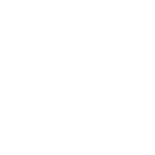 ZX-10R_PEPE's emblem