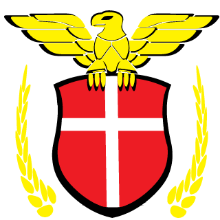 OsamaYsf's emblem