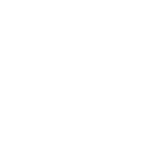 TOROomom's emblem