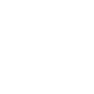 YsGundogdu's emblem