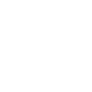 vinzzz40's emblem