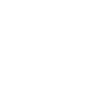 PING197's emblem