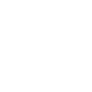 CHECHEN_BRATAN's emblem