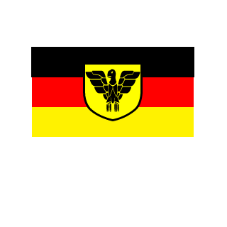 s4intzZ's emblem