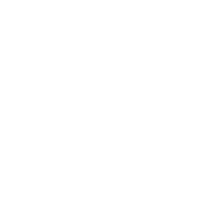 Metro 553's emblem