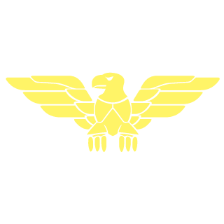 Starranger22's emblem