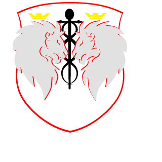 HVTgamerNL1999's emblem