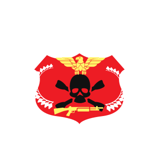 brasilraul's emblem