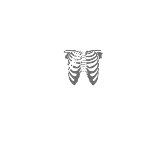 PAPAHS's emblem