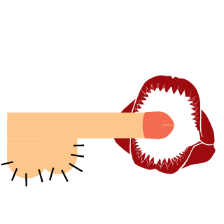 Myrhus_Trym's emblem