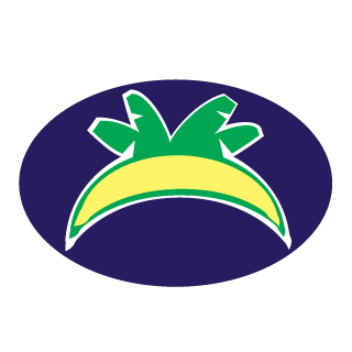 Comandir_Cat's emblem