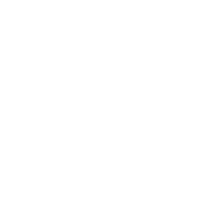 jqersalem's emblem