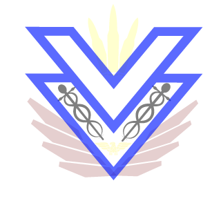 C01T3025S's emblem