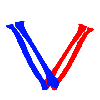 vsyakodich's emblem