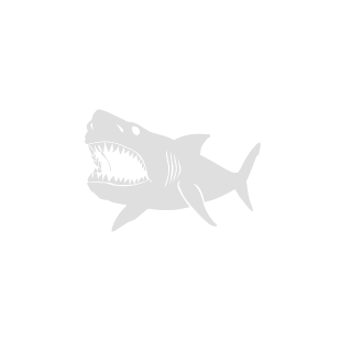 Elrompecabezas23's emblem
