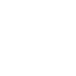 51f603c6d529df79's emblem