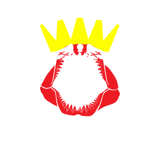 nE_aNdrUShA's emblem