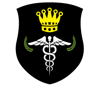 o-ICER-o's emblem