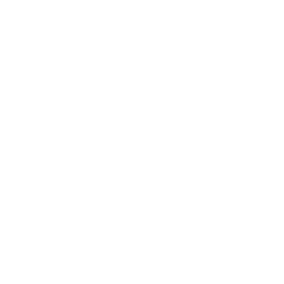 N3WD341's emblem