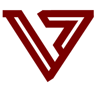VIGILANTE BROTHERS's emblem