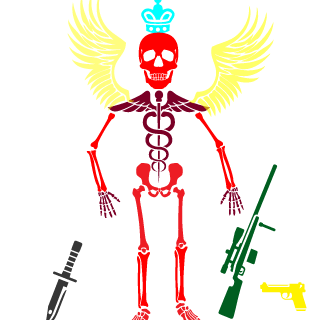 R0drig0SC's emblem