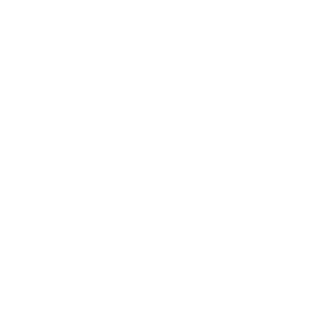 Boenzilla's emblem