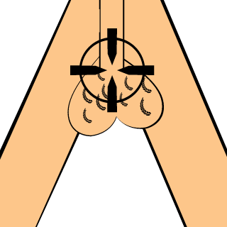 H1_Verdier's emblem