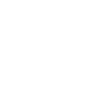 bbbbbig_brain's emblem