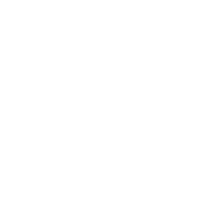 xSPACEMAN-BR's emblem