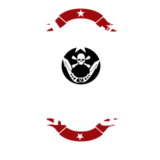 Hero clan ace sqwad's emblem