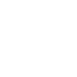 PROPAIN1337's emblem