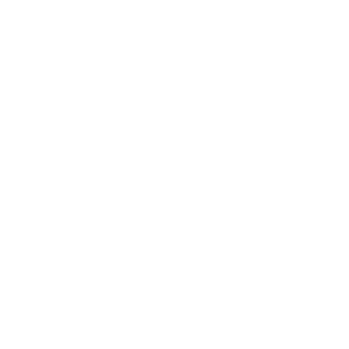 a1st2000's emblem